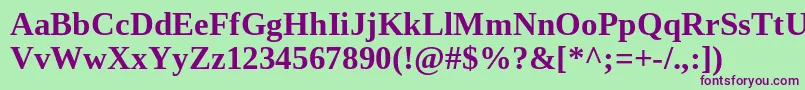TinosBold Font – Purple Fonts on Green Background