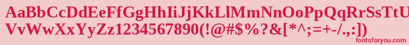 TinosBold Font – Red Fonts on Pink Background