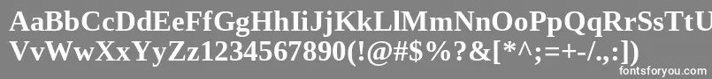 TinosBold Font – White Fonts on Gray Background