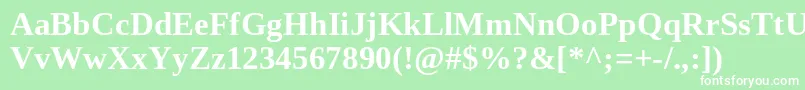 フォントTinosBold – 緑の背景に白い文字