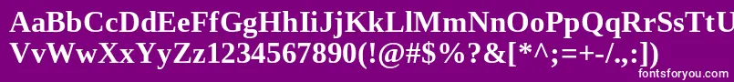 TinosBold Font – White Fonts on Purple Background