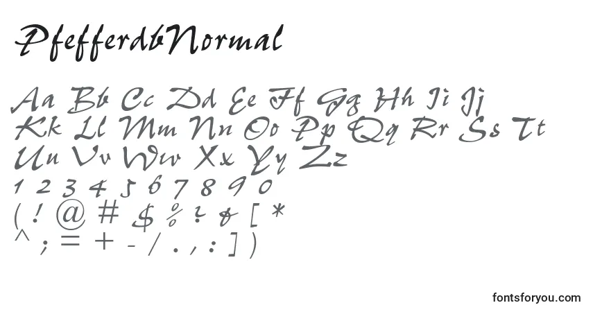 Шрифт PfefferdbNormal – алфавит, цифры, специальные символы