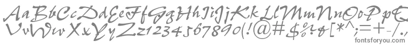 PfefferdbNormal Font – Gray Fonts on White Background