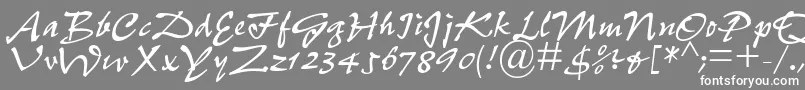 フォントPfefferdbNormal – 灰色の背景に白い文字