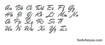 StephensHeavyWriting Font
