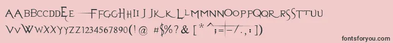 EvanescenceSeriesBPrespaced Font – Black Fonts on Pink Background