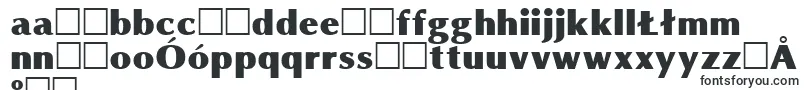 OmniBlackRegular-Schriftart – polnische Schriften