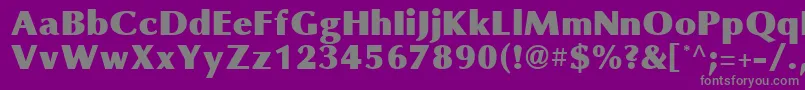 OmniBlackRegular Font – Gray Fonts on Purple Background