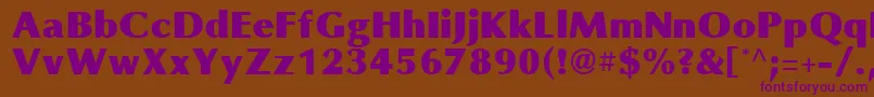 OmniBlackRegular Font – Purple Fonts on Brown Background