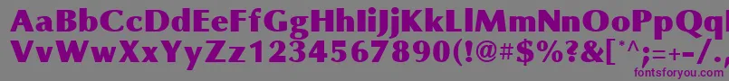 OmniBlackRegular Font – Purple Fonts on Gray Background