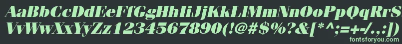 フォントFenicestdUltraoblique – 黒い背景に緑の文字