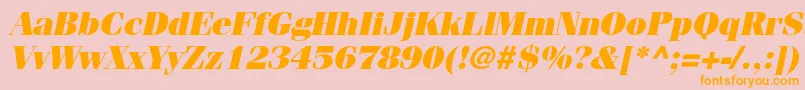 FenicestdUltraoblique-Schriftart – Orangefarbene Schriften auf rosa Hintergrund