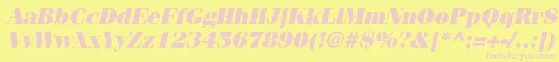 FenicestdUltraoblique Font – Pink Fonts on Yellow Background