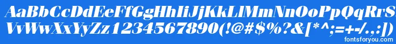 Czcionka FenicestdUltraoblique – białe czcionki na niebieskim tle