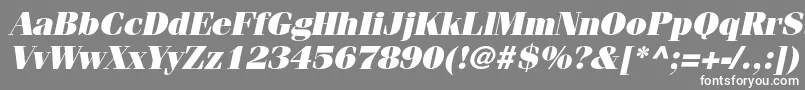 フォントFenicestdUltraoblique – 灰色の背景に白い文字