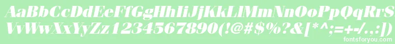 FenicestdUltraoblique Font – White Fonts on Green Background