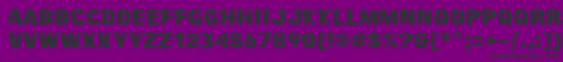 Survivant Font – Black Fonts on Purple Background