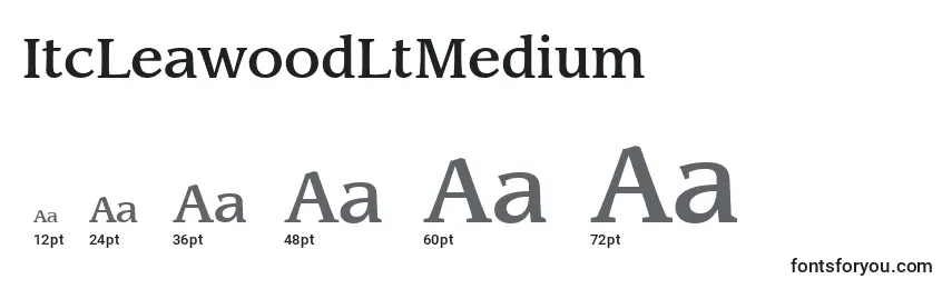 Размеры шрифта ItcLeawoodLtMedium