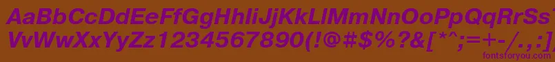 PragmaticaettBolditalic Font – Purple Fonts on Brown Background