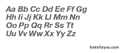 PragmaticaettBolditalic Font