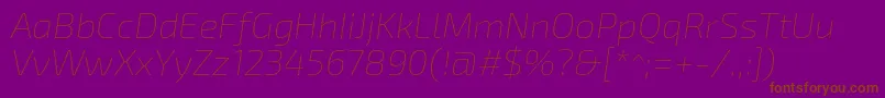 Exo2.0Thinitalic Font – Brown Fonts on Purple Background