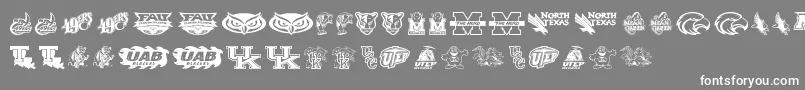 CUsa Font – White Fonts on Gray Background