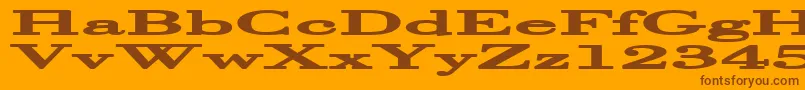 HalcyoniaSuperwide Font – Brown Fonts on Orange Background