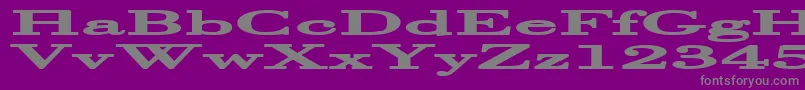 HalcyoniaSuperwide Font – Gray Fonts on Purple Background