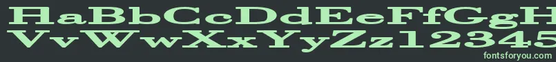 HalcyoniaSuperwide Font – Green Fonts on Black Background