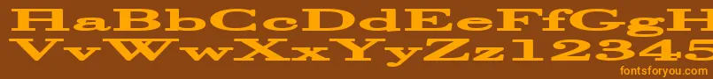 HalcyoniaSuperwide Font – Orange Fonts on Brown Background