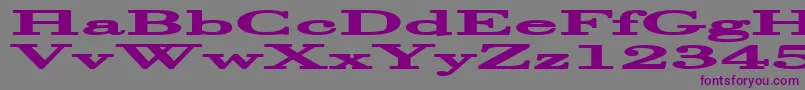 HalcyoniaSuperwide Font – Purple Fonts on Gray Background