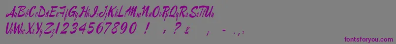 Raymorganstyle-fontti – violetit fontit harmaalla taustalla