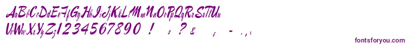 Raymorganstyle Font – Purple Fonts on White Background