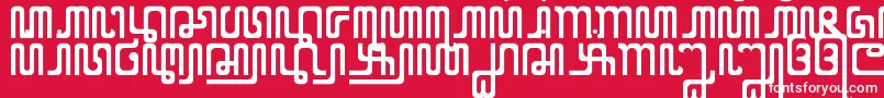 XCodeFromEast-Schriftart – Weiße Schriften auf rotem Hintergrund