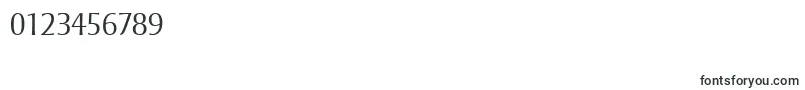 StrayhornMtLight Font – Fonts for Numbers and Digits