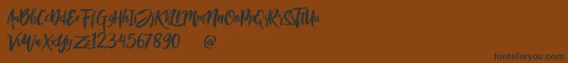 Rofitaste Font – Black Fonts on Brown Background