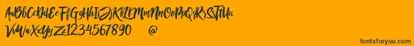 Rofitaste Font – Black Fonts on Orange Background