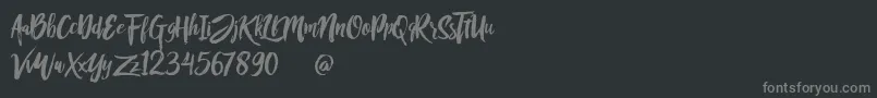 Rofitaste Font – Gray Fonts on Black Background