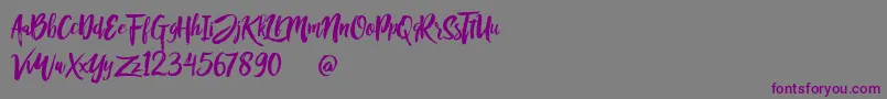 フォントRofitaste – 紫色のフォント、灰色の背景