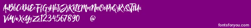 Rofitaste Font – White Fonts on Purple Background