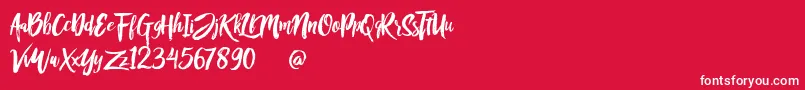 Rofitaste Font – White Fonts on Red Background