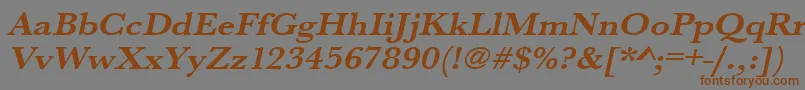 UrwbaskertextwidBoldOblique Font – Brown Fonts on Gray Background