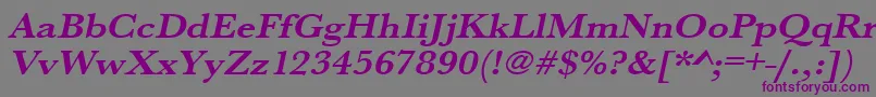 UrwbaskertextwidBoldOblique Font – Purple Fonts on Gray Background