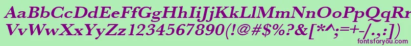 UrwbaskertextwidBoldOblique Font – Purple Fonts on Green Background