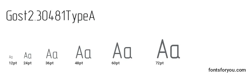 Gost2.30481TypeA Font Sizes