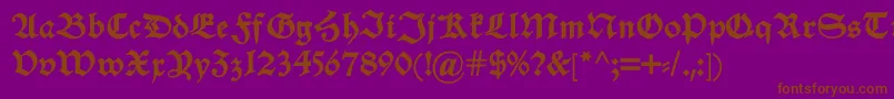 Alteschwabacherdemi Font – Brown Fonts on Purple Background