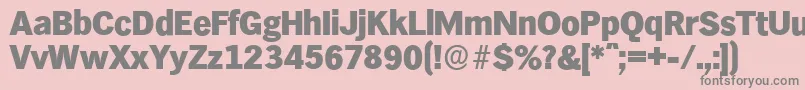 HamburgserialHeavyRegular Font – Gray Fonts on Pink Background