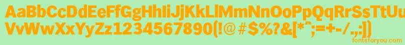 HamburgserialHeavyRegular Font – Orange Fonts on Green Background