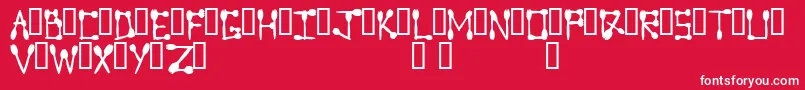 フォントSporktype – 赤い背景に白い文字