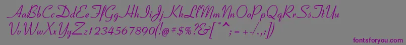 Coronet2-Schriftart – Violette Schriften auf grauem Hintergrund